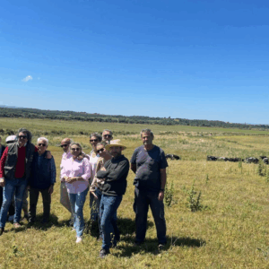 Rutas por Dehesa en Medina Sidonia, Conoce el Toro Bravo